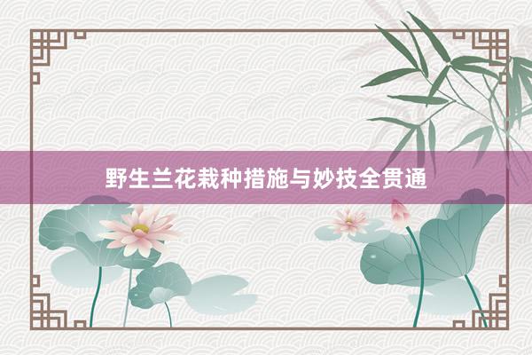 野生兰花栽种措施与妙技全贯通